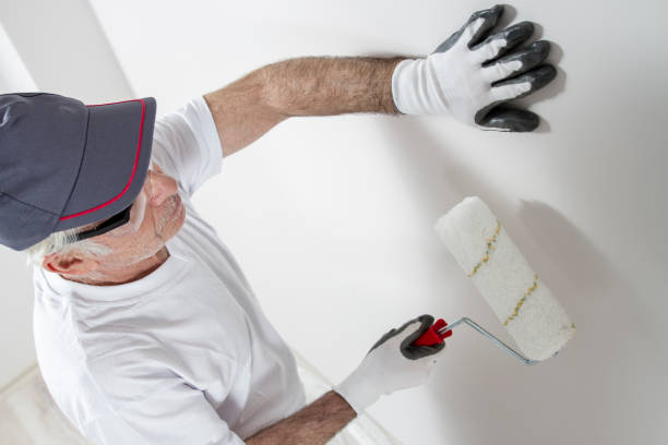 Best Mold Remediation for Healthcare Facilities  in South Browning, MT