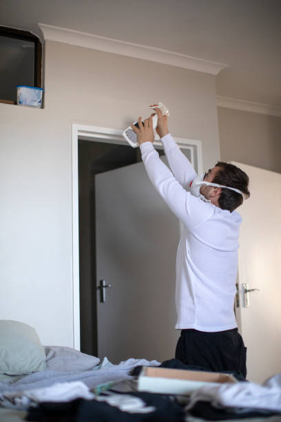Best Water Damage & Mold Remediation  in South Browning, MT