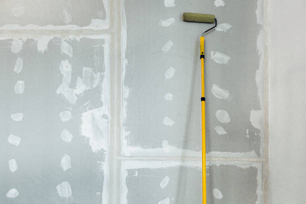 Best Dehumidification Services  in South Browning, MT