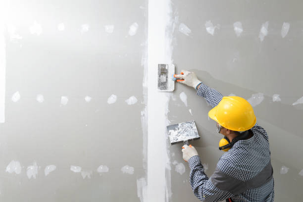 Best Basement Mold Removal  in South Browning, MT