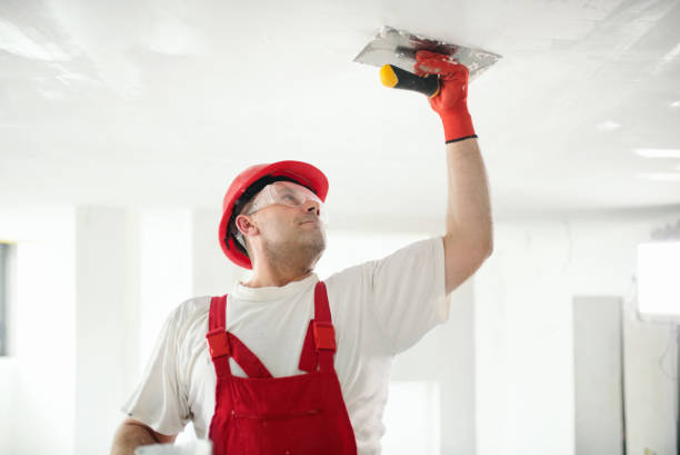 Best Residential Mold Inspection & Testing  in South Browning, MT